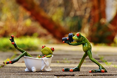 frog lying on bathtub thumbnail