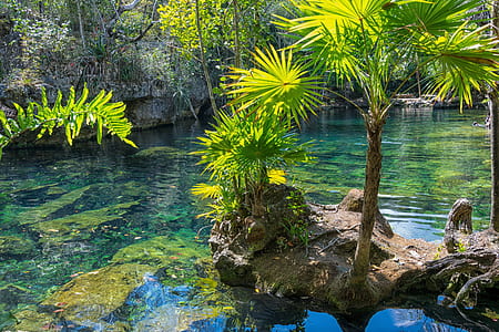nature, relaxation, water, summer thumbnail