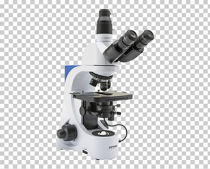 what is bright field microscopy
