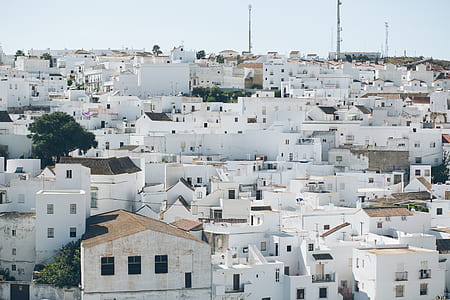 aerial photography of city thumbnail