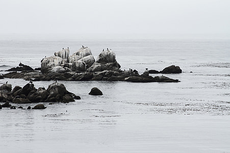 rock formation in body of water thumbnail