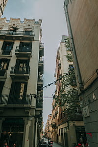 Gray and White Concrete Storey Building thumbnail