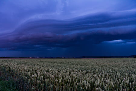 crop field under cloud formation thumbnail