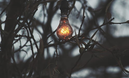 turned-on halogen light thumbnail