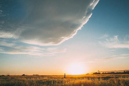 person standing on brown plant field during sunset thumbnail