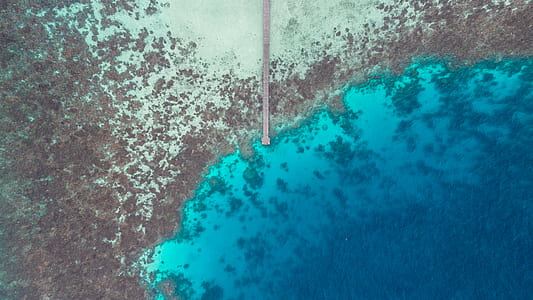 aerial photography of sea dock thumbnail