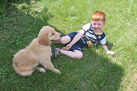 golden retriever puppy beside boy lying on green grass thumbnail