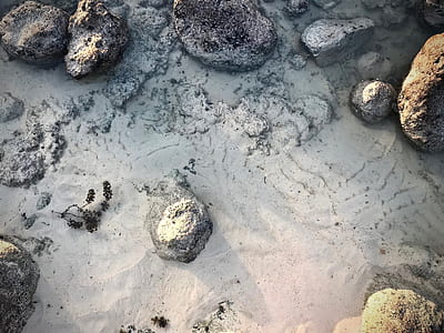 stone on seashore thumbnail