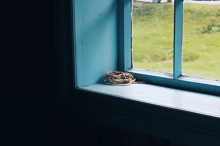 brown coated cable on blue and white wooden window thumbnail