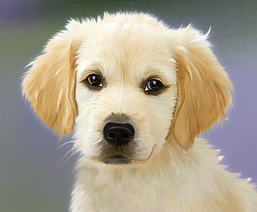 golden retriever puppy painting thumbnail