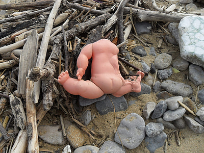 baby doll on driftwood and pebbles thumbnail