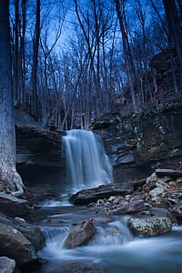 body of water between trees thumbnail