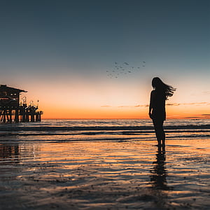 woman's silhouette standing on seashore during golden hour thumbnail