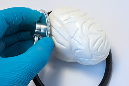The doctor examines the human brain with a stethoscope thumbnail
