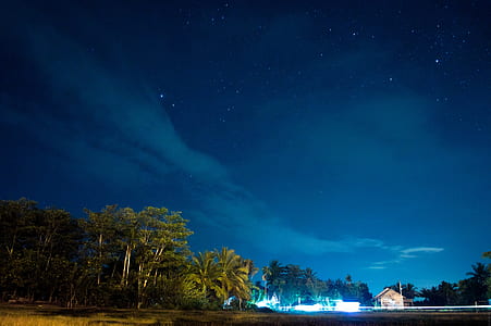 house beside lights near trees under blue skies at nighttime thumbnail