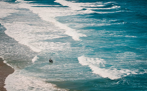 two person walking on seashore thumbnail