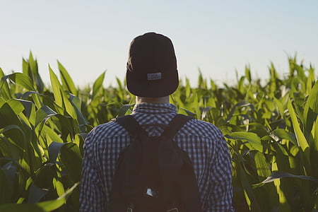 man facing upfront looking at green corn plants thumbnail