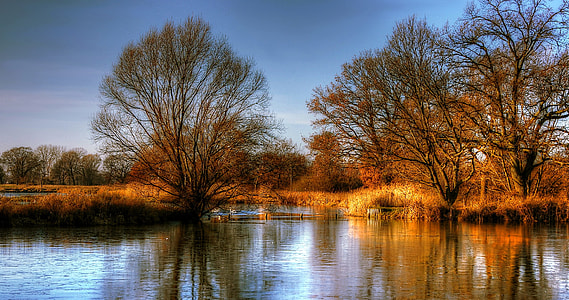 body of water near trees under grey and white sky thumbnail