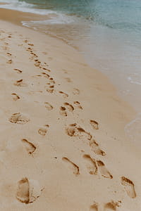 Footprints on a sandy beach, Portugal thumbnail