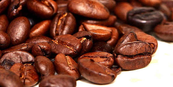 brown coffee bean lot thumbnail