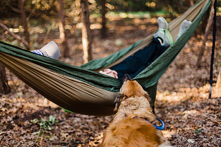 green hammock thumbnail