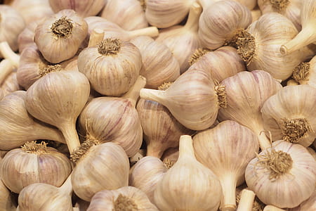 garlic bulb lot thumbnail