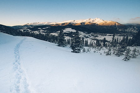 foot trail on snow covered terrain thumbnail