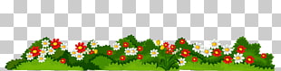 Flower , Flowers with Grass Transparent , white and red flowers animated illustration PNG clipart