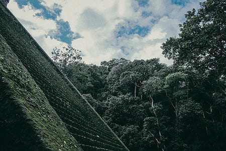 green leaf trees under cloudy sky at daytime thumbnail