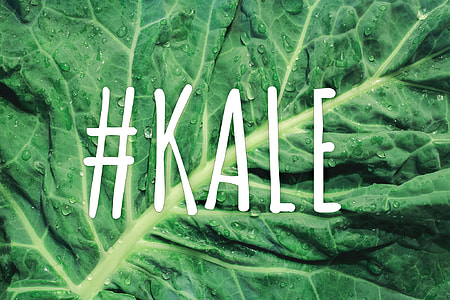 closeup photo of Kale thumbnail