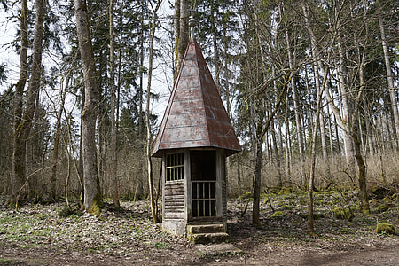 brown roof and white wall cottage beside trees thumbnail