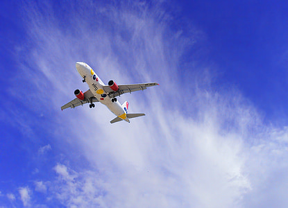 white and gray plane thumbnail