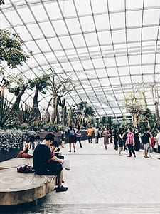Glass Roofed Building thumbnail