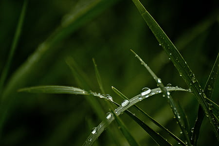 Water Droplets on Water Closeup Photography thumbnail
