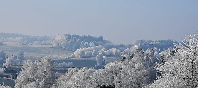 snow covered trees under cloudy sky thumbnail
