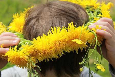 Dandelions, A Wreath Of Dandelions thumbnail