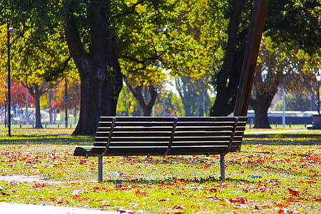 gray wooden bench thumbnail