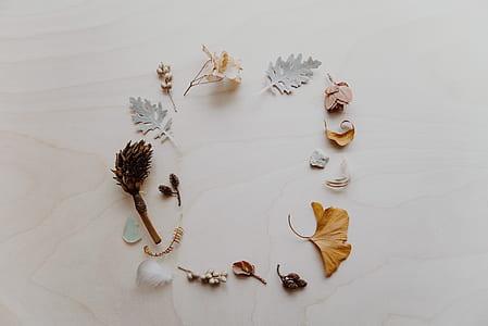 brown, gray, and white leaves thumbnail