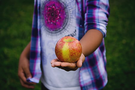 person holding honeycrisp apple thumbnail