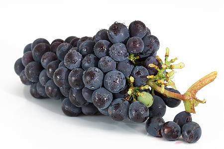 purple grape bundle thumbnail