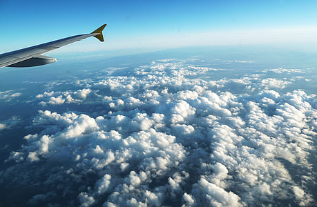 window plane view thumbnail