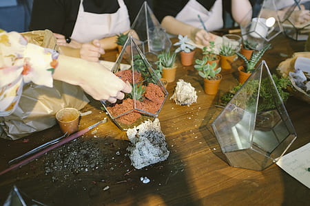 clear glass terrariums on the table thumbnail