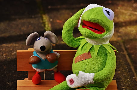 Kermit the frog sitting on brown bench thumbnail