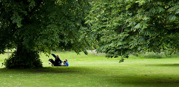green grass field thumbnail
