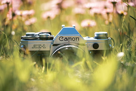gray Canon AE-1 camera on green grass thumbnail