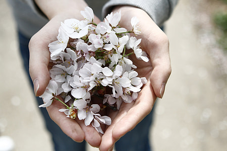 person flowers on hand thumbnail
