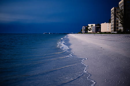 light, sea, city, dawn thumbnail