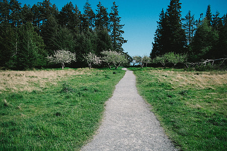 gray concrete narrow road photo thumbnail