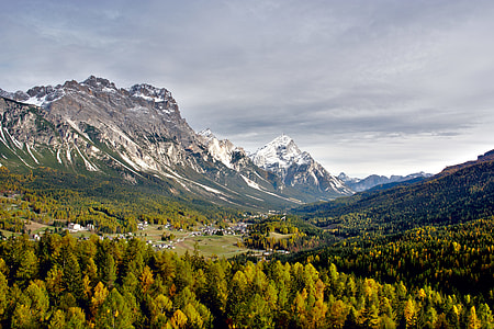 birds eye view of forest and snowy mountains thumbnail