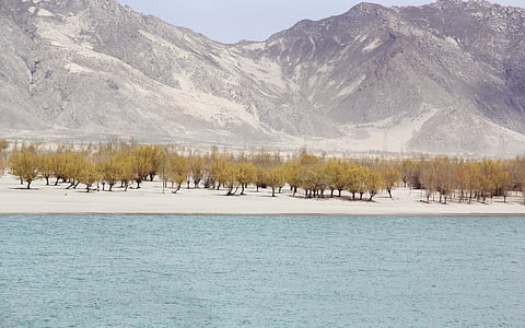 trees near body of water below mountains during daytime thumbnail